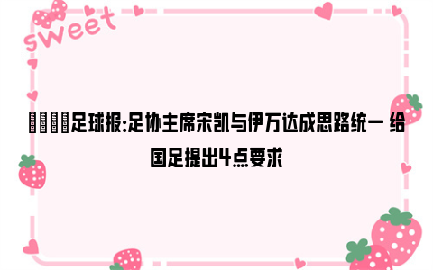 👀足球报：足协主席宋凯与伊万达成思路统一 给国足提出4点要求