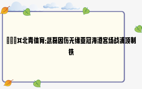 🎤北青体育：武磊因伤无缘亚冠海港客场战浦项制铁