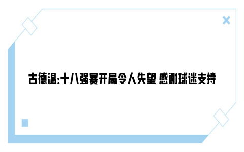 古德温：十八强赛开局令人失望 感谢球迷支持