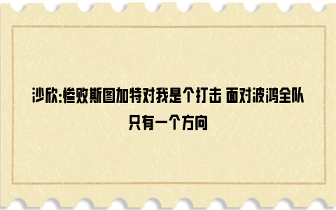 沙欣：惨败斯图加特对我是个打击 面对波鸿全队只有一个方向