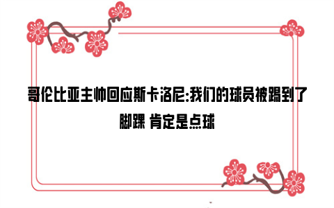 哥伦比亚主帅回应斯卡洛尼：我们的球员被踢到了脚踝 肯定是点球