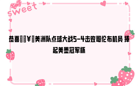 恭喜🥇美洲队点球大战5-4击败哥伦布机员 捧起美墨冠军杯