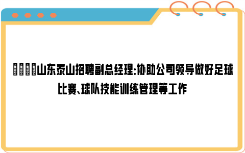 😎山东泰山招聘副总经理：协助公司领导做好足球比赛、球队技能训练管理等工作