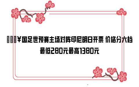 🔥国足世预赛主场对阵印尼明日开票 价格分六档最低280元最高1380元