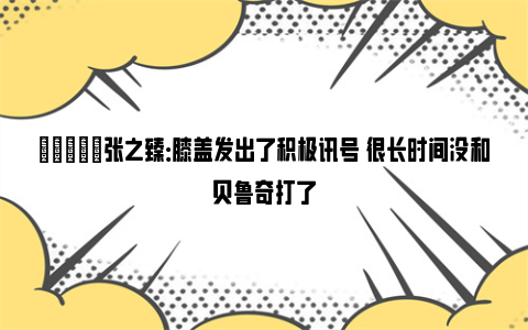 🎙️张之臻：膝盖发出了积极讯号 很长时间没和贝鲁奇打了