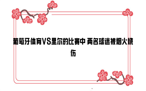 葡萄牙体育VS里尔的比赛中 两名球迷被烟火烧伤