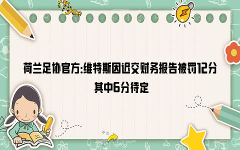 荷兰足协官方：维特斯因迟交财务报告被罚12分 其中6分待定