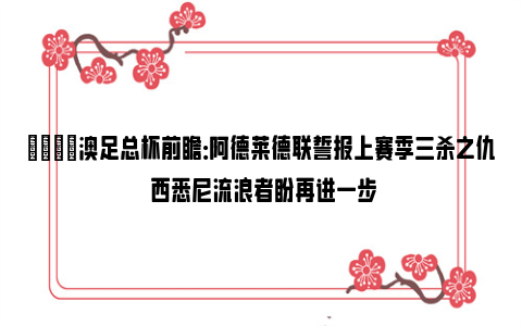 👀澳足总杯前瞻：阿德莱德联誓报上赛季三杀之仇 西悉尼流浪者盼再进一步