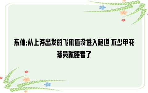 东体：从上海出发的飞机还没进入跑道 不少申花球员就睡着了