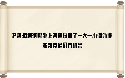 沪媒：除威姆斯外上海还试训了一大一小俩外援 布莱克尼仍有机会