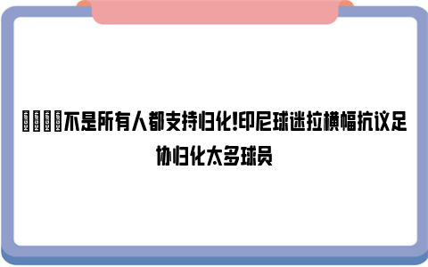 😑不是所有人都支持归化！印尼球迷拉横幅抗议足协归化太多球员