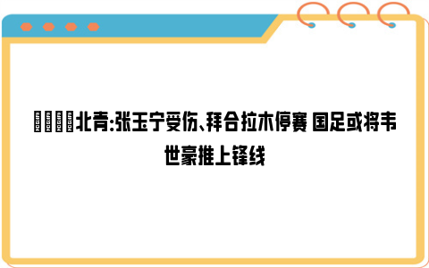 😭北青：张玉宁受伤、拜合拉木停赛 国足或将韦世豪推上锋线