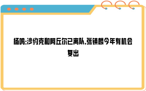 杨鸣：沙约克和阿丘尔已离队，张镇麟今年有机会复出