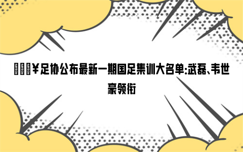 💥足协公布最新一期国足集训大名单：武磊、韦世豪领衔