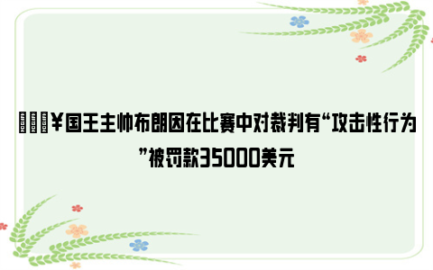 💥国王主帅布朗因在比赛中对裁判有“攻击性行为”被罚款35000美元