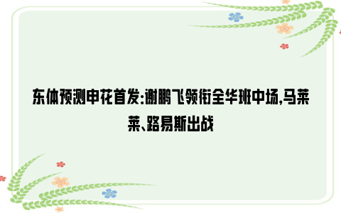 东体预测申花首发：谢鹏飞领衔全华班中场，马莱莱、路易斯出战