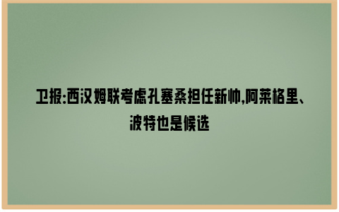 卫报：西汉姆联考虑孔塞桑担任新帅，阿莱格里、波特也是候选