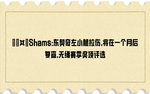 🤕Shams：东契奇左小腿拉伤，将在一个月后复查，无缘赛季奖项评选