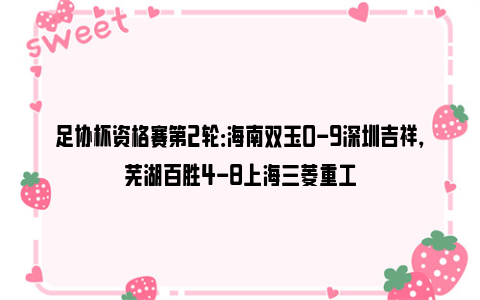 足协杯资格赛第2轮：海南双玉0-9深圳吉祥，芜湖百胜4-8上海三菱重工