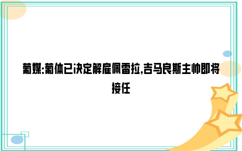 葡媒：葡体已决定解雇佩雷拉，吉马良斯主帅即将接任