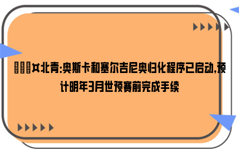 🎤北青：奥斯卡和塞尔吉尼奥归化程序已启动，预计明年3月世预赛前完成手续