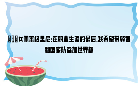 🎤佩莱格里尼：在职业生涯的最后，我希望带领智利国家队参加世界杯