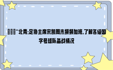 🚨北青：足协主席宋凯周末频频加班，了解各级国字号球队备战情况