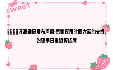 💬波波维奇发布声明：感谢这段时间大家的支持，盼望早日重返教练席